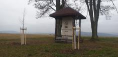 výsadba u kaple